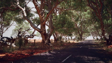 Offene-Straße-In-Australien-Mit-Buschbäumen